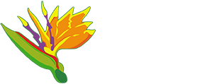 Albuquerque Florist